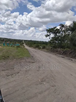 Jujafarm 3 Acres 1/4 for Sale.