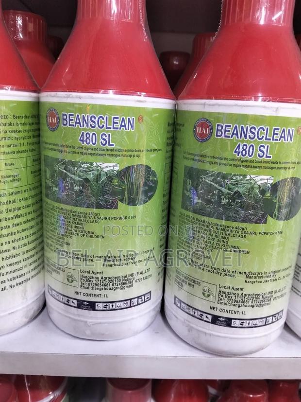 Bean Clean 480 Sl