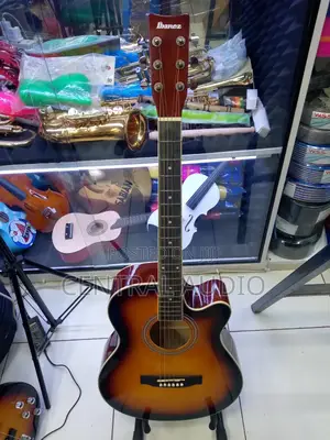 Ibabez Acoustic Size 40 Guitar