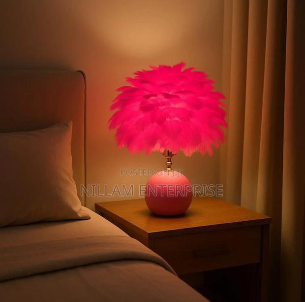 Pink Medium Sizes Feathers Like Bedside Lamp