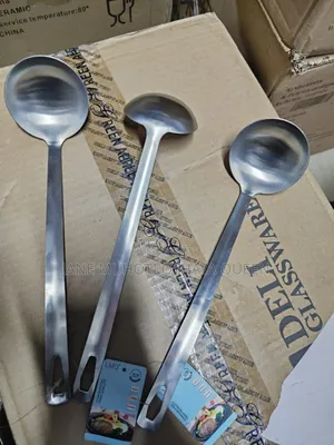 Stainless Serving/ Soup Spoons