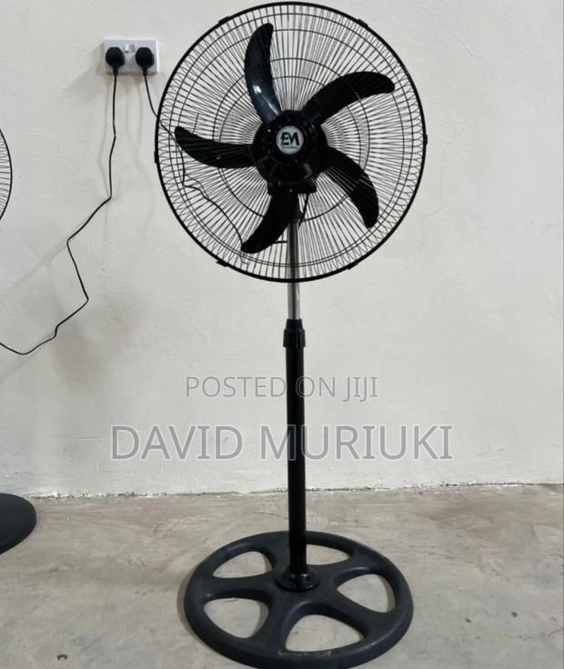 Best Electromate 16 Inches Standing Fan