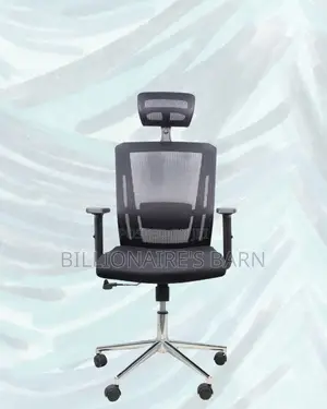 Office Mesh Chair With Lumbar Support | Comfort Meets Style