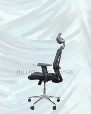 Office Mesh Chair With Lumbar Support | Comfort Meets Style