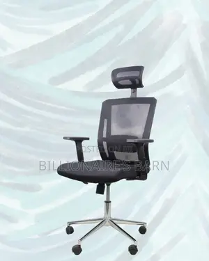 Office Mesh Chair With Lumbar Support | Comfort Meets Style