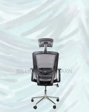 Office Mesh Chair With Lumbar Support | Comfort Meets Style