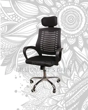 Pro — Mesh Secretarial | Same-Day Delivery Available