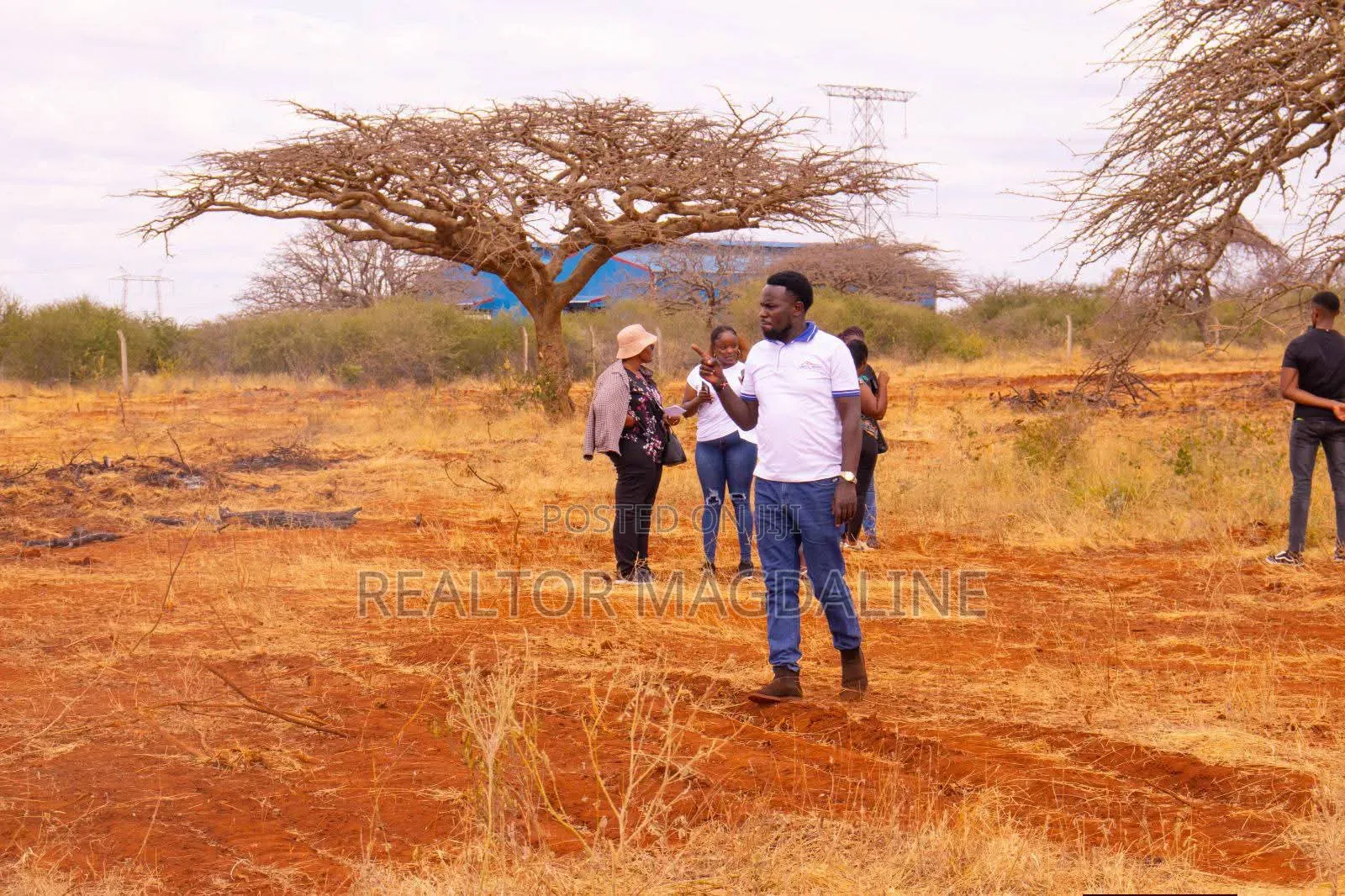 Voi Plots (Tarmac)