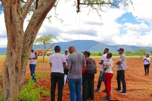 Voi Plots (Tarmac) - thumbnail 15