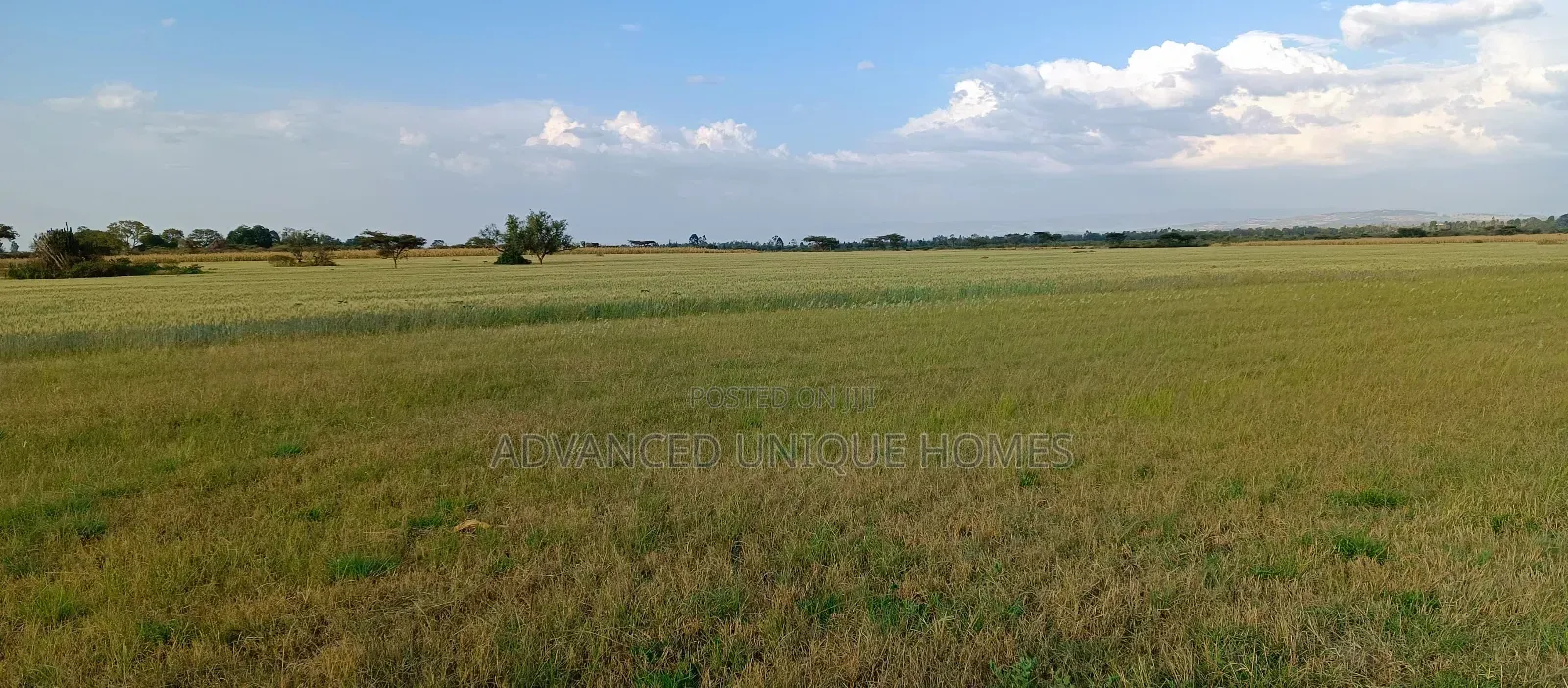 Bahati Kongeri 60 Acres for Sale