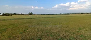 Bahati Kongeri 60 Acres for Sale