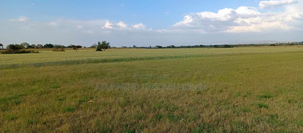 Bahati Kongeri 60 Acres for Sale