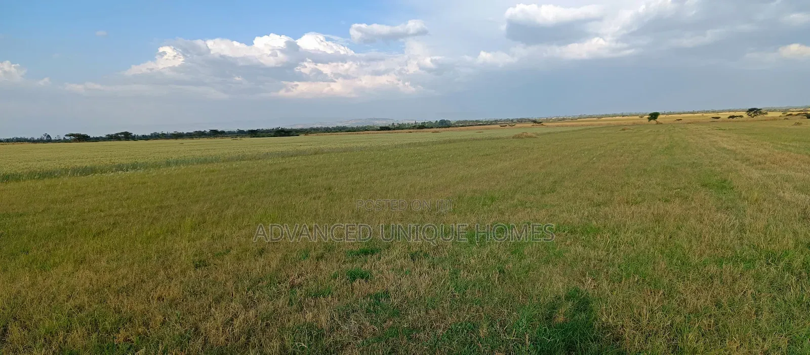 Bahati Kongeri 60 Acres for Sale