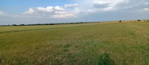 Bahati Kongeri 60 Acres for Sale