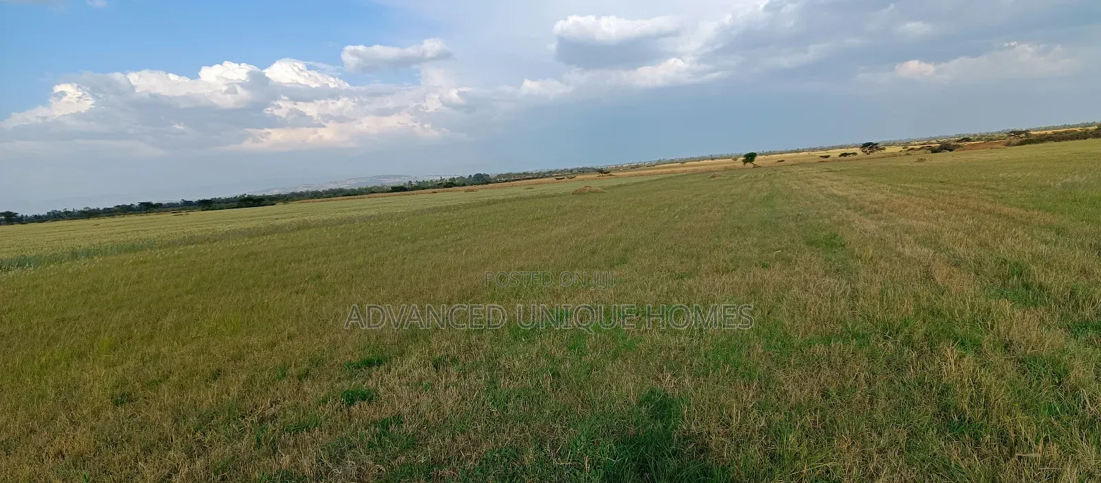 Bahati Kongeri 60 Acres for Sale
