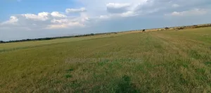 Bahati Kongeri 60 Acres for Sale