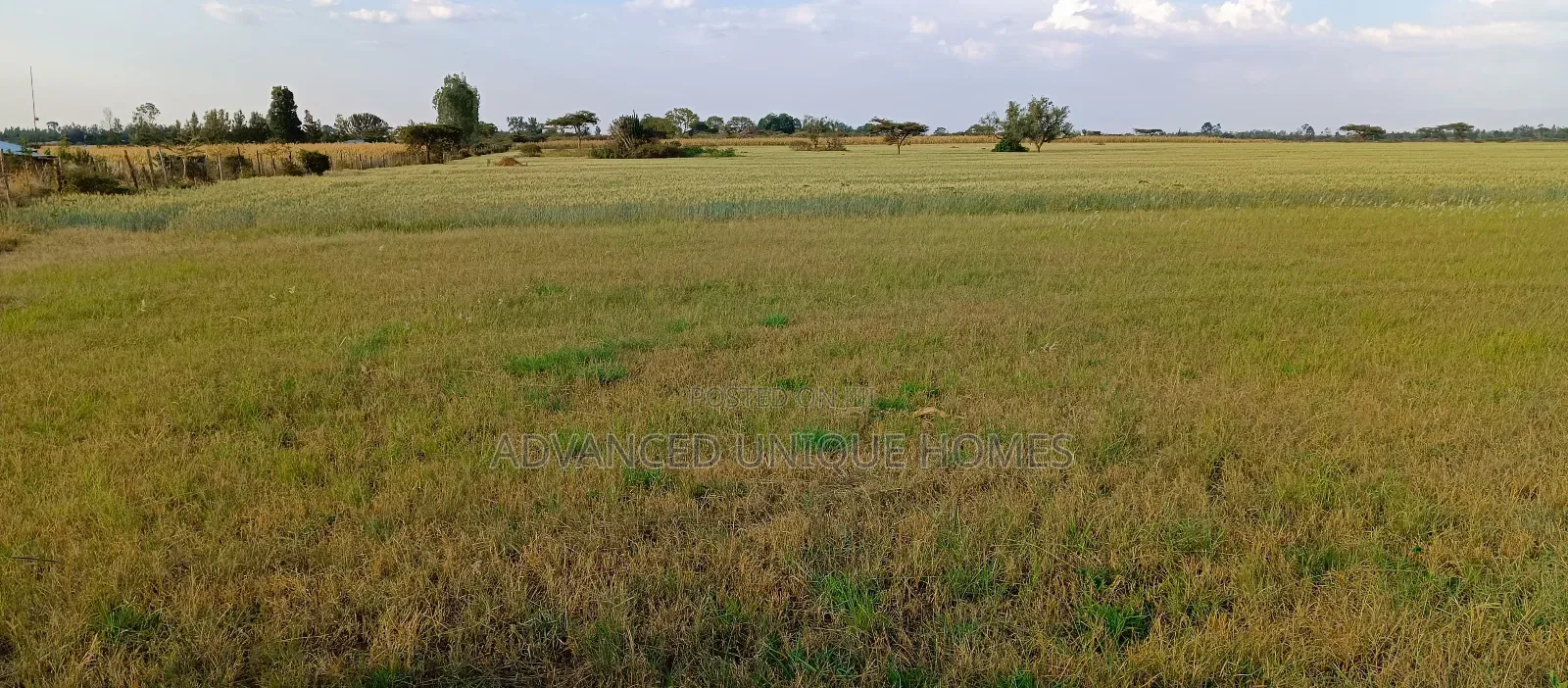 Bahati Kongeri 60 Acres for Sale
