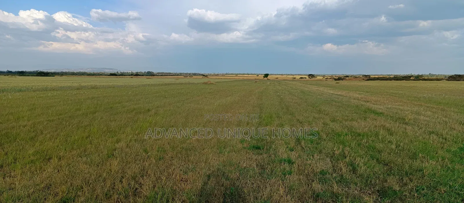 Bahati Kongeri 60 Acres for Sale