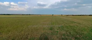 Bahati Kongeri 60 Acres for Sale