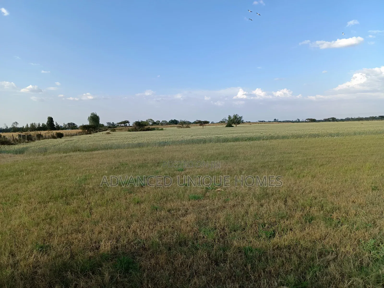 Bahati Kongeri 60 Acres for Sale