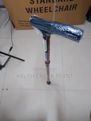 Foldable Walking Stick - main view