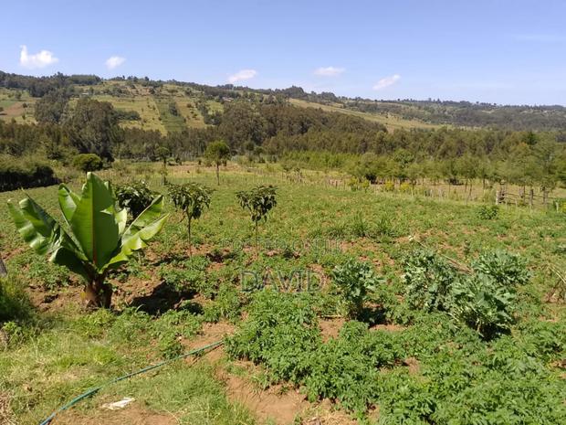 Land on Sale - thumbnail 2