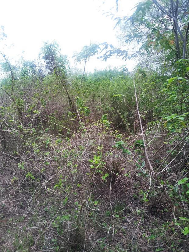 Am Selling My Land - main view