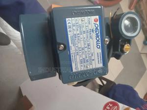 Pedrollo Water Pump 0.5hp - thumbnail 2
