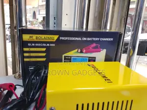 BLM-866 Smart Car Battery Charger 12v 24v Fast Repair Charger