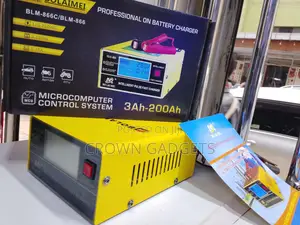 Bolaimei BLM-866c 12v/24v Smart Pulse Battery Charger