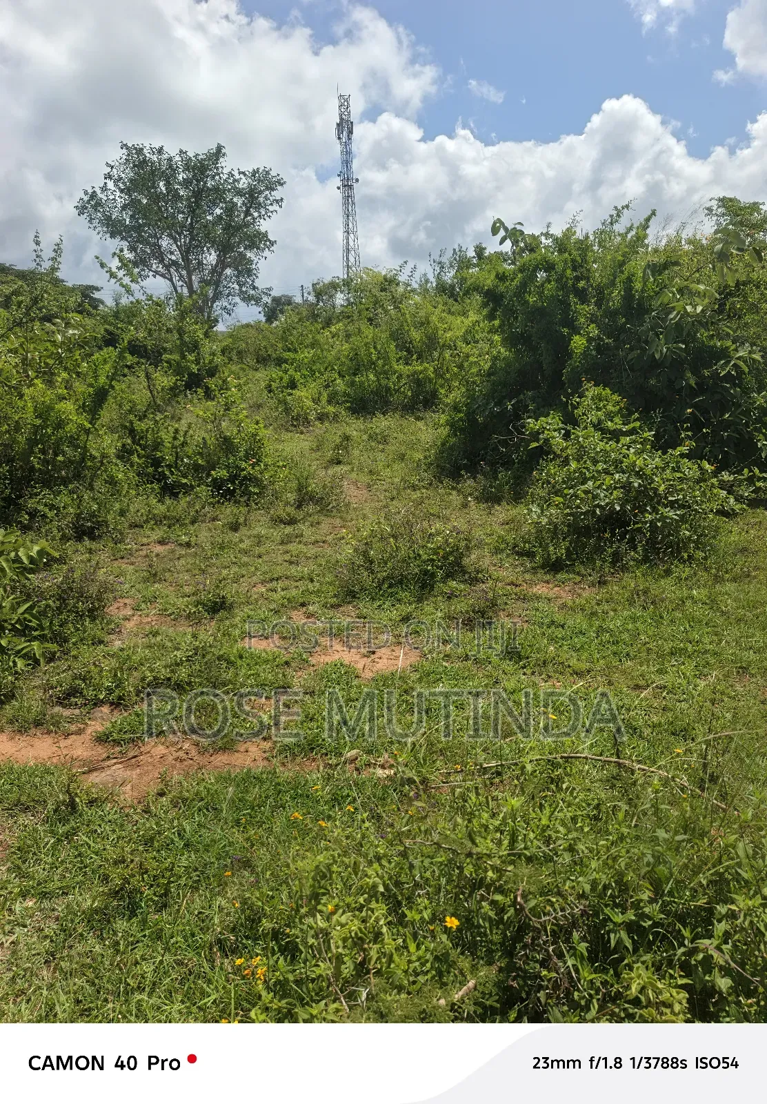 Half An Acre Kisukioni