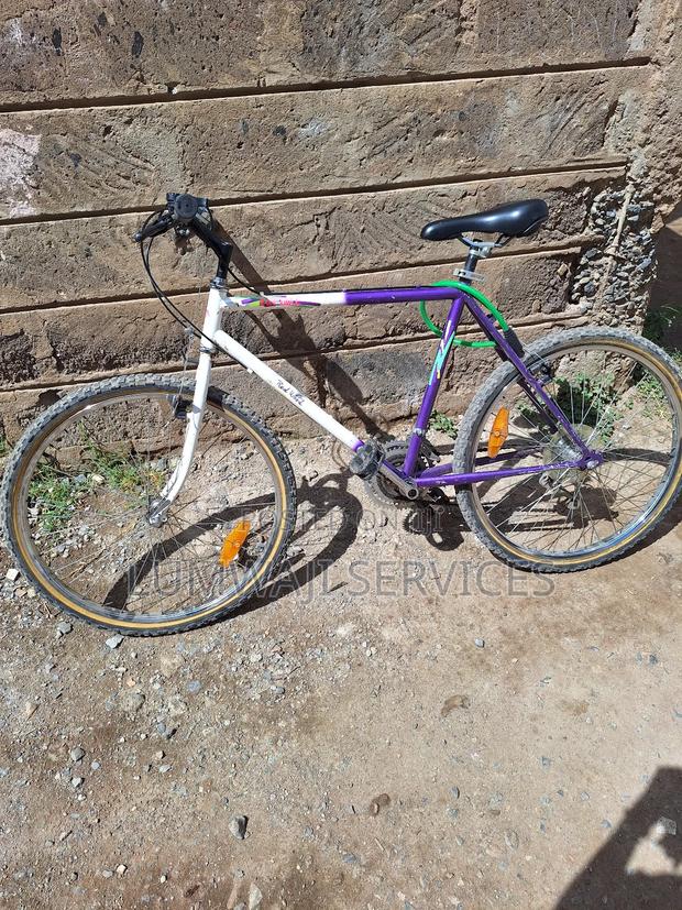 Mountain Bicycle - thumbnail 2