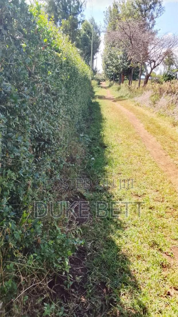 1/2 an Acre
