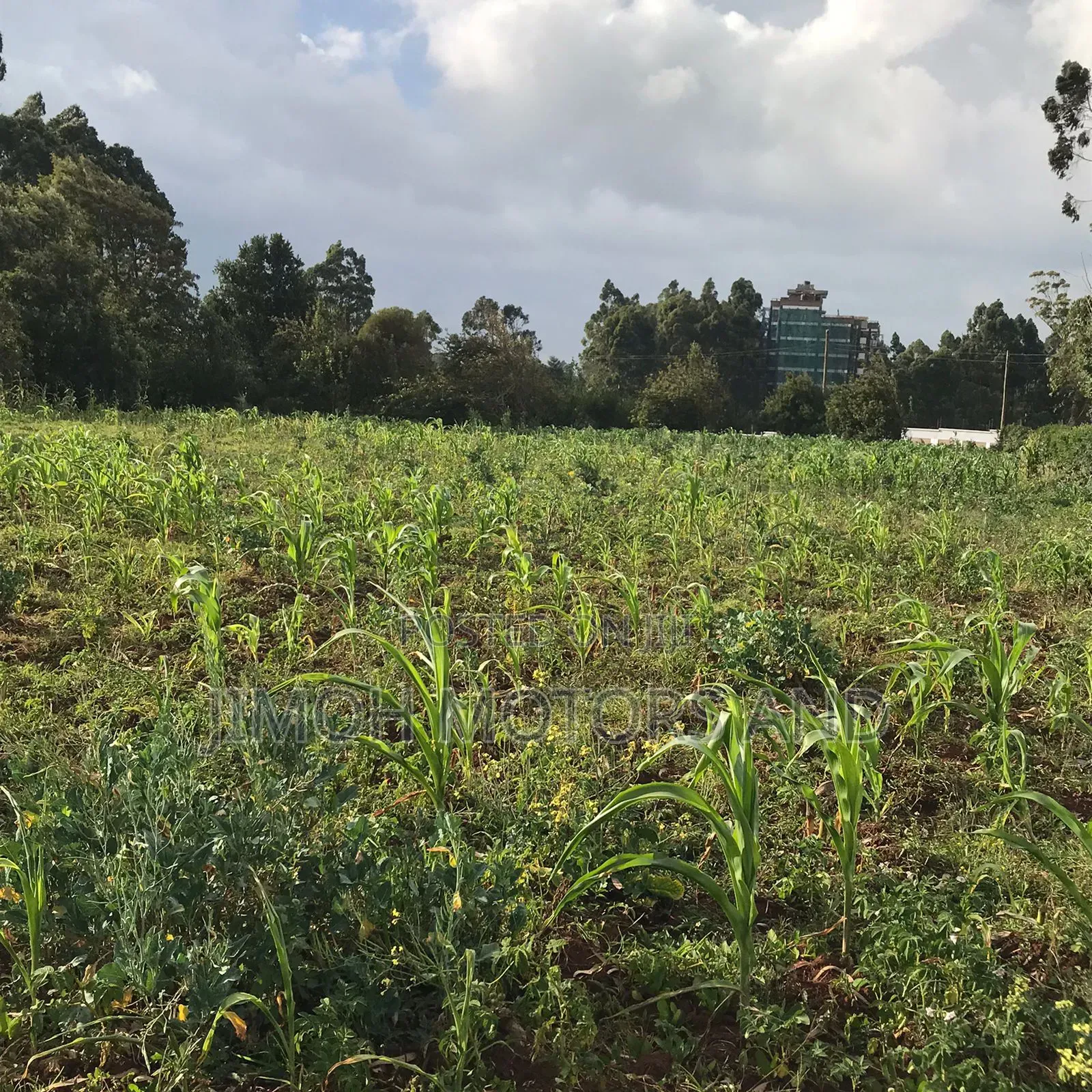 Land in Limuru Highway for Sale