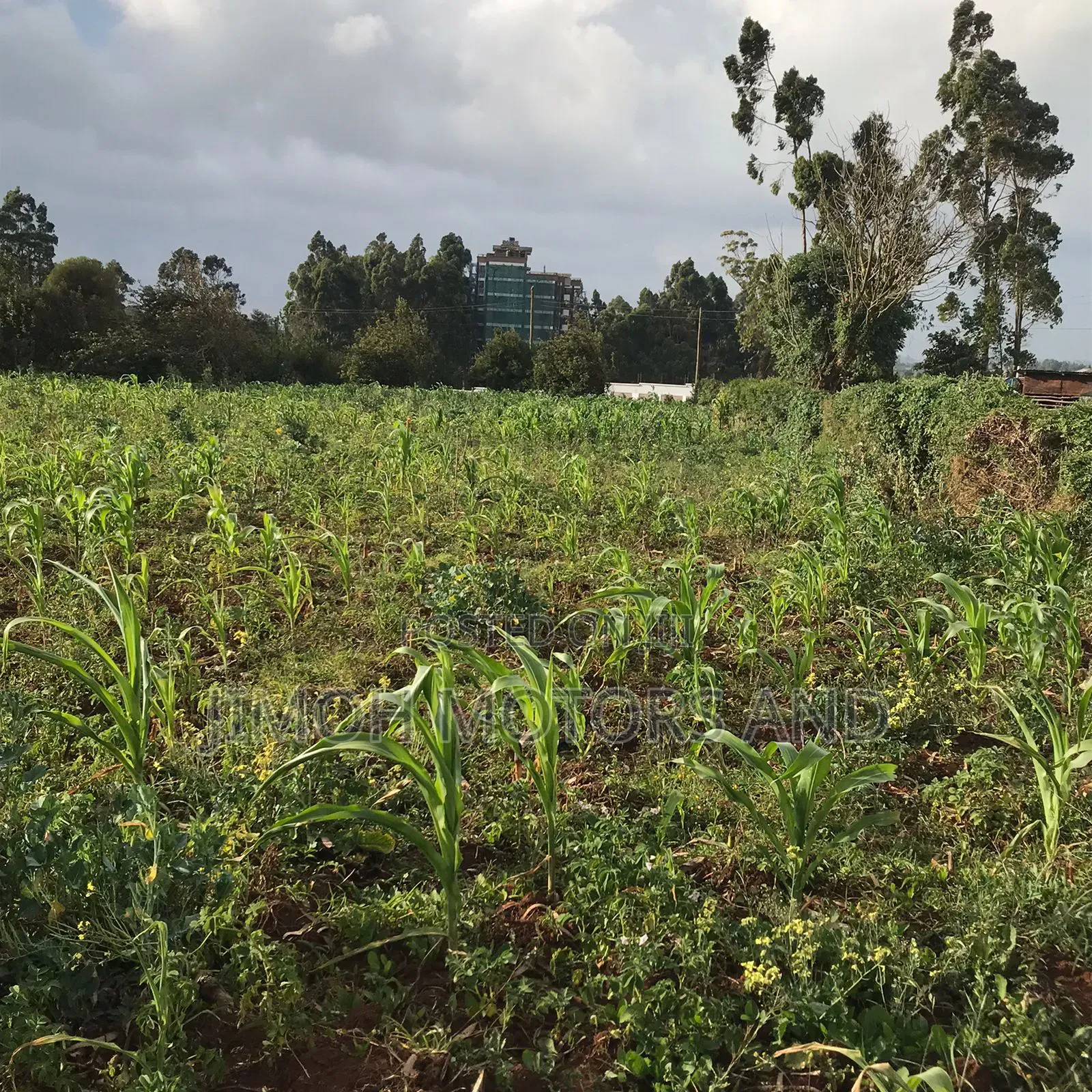 Land in Limuru Highway for Sale