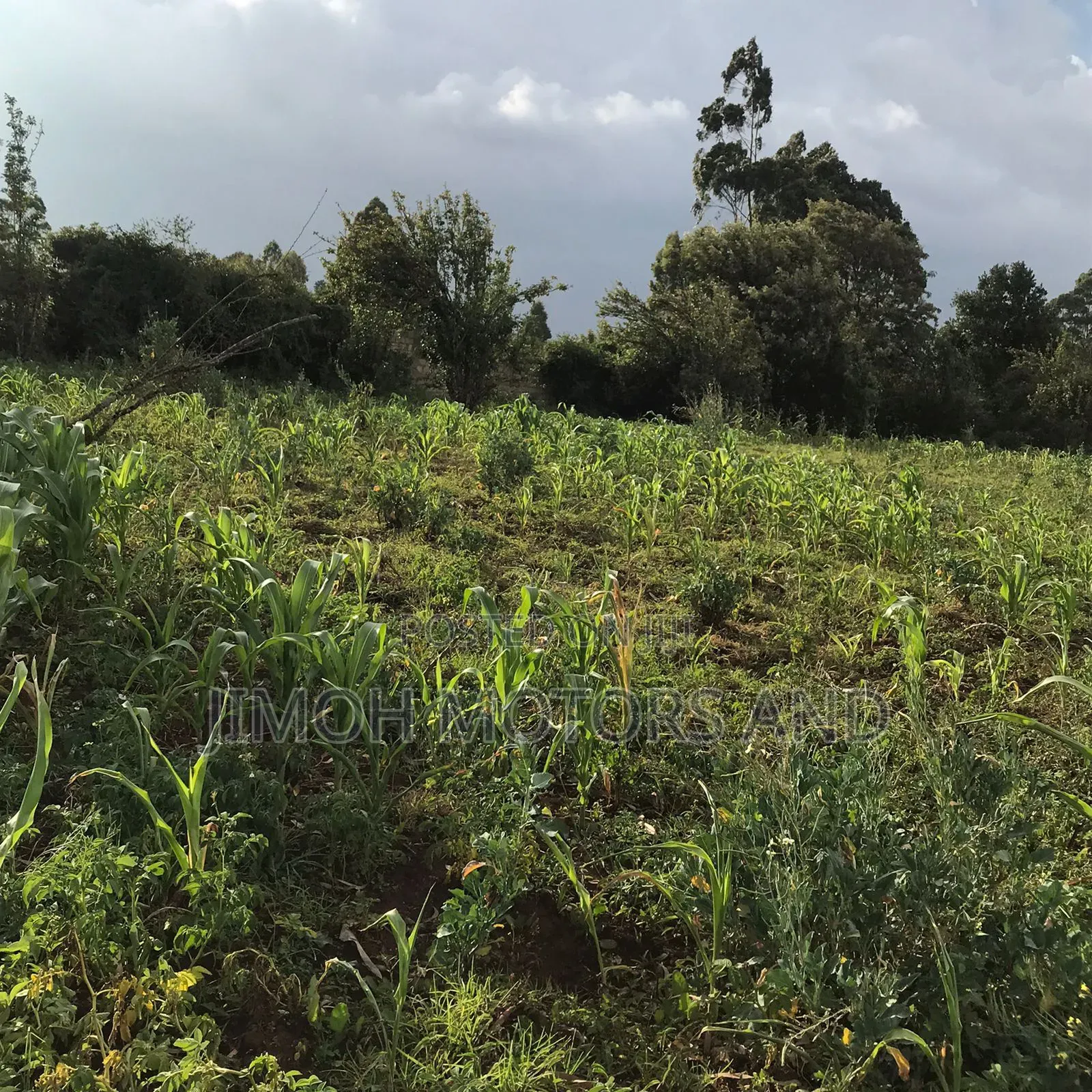Land in Limuru Highway for Sale