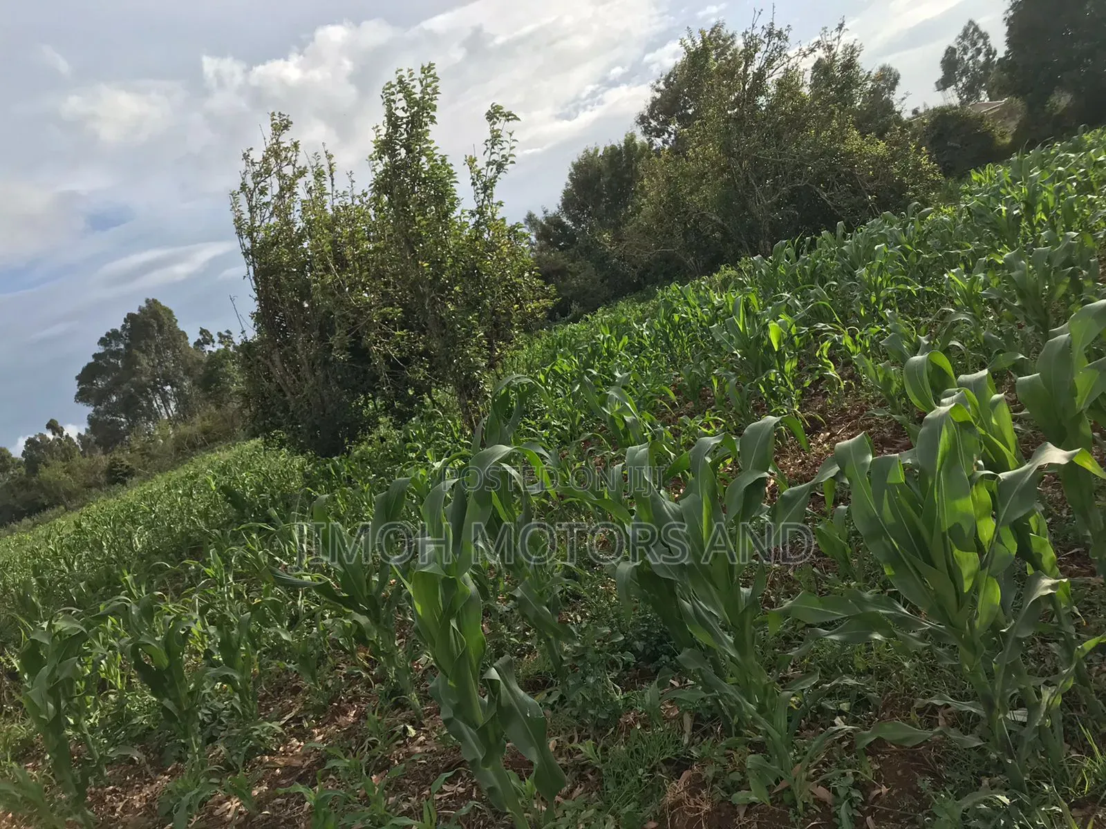 Land in Limuru Highway for Sale