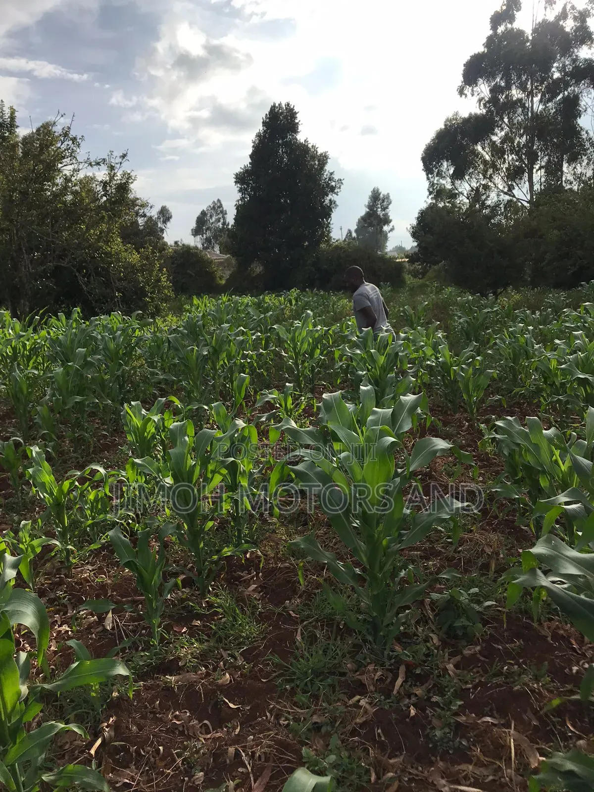 Land in Limuru Highway for Sale