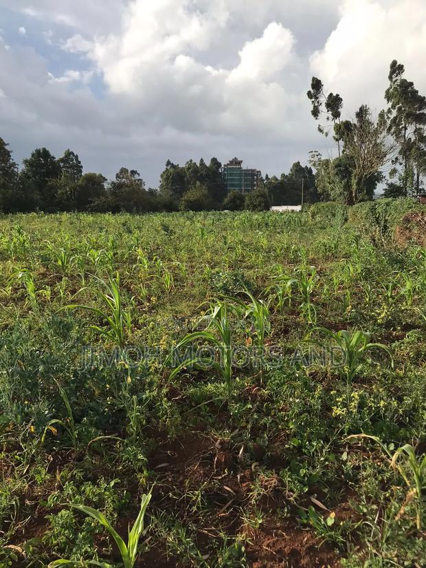 Land in Limuru Highway for Sale - thumbnail 14