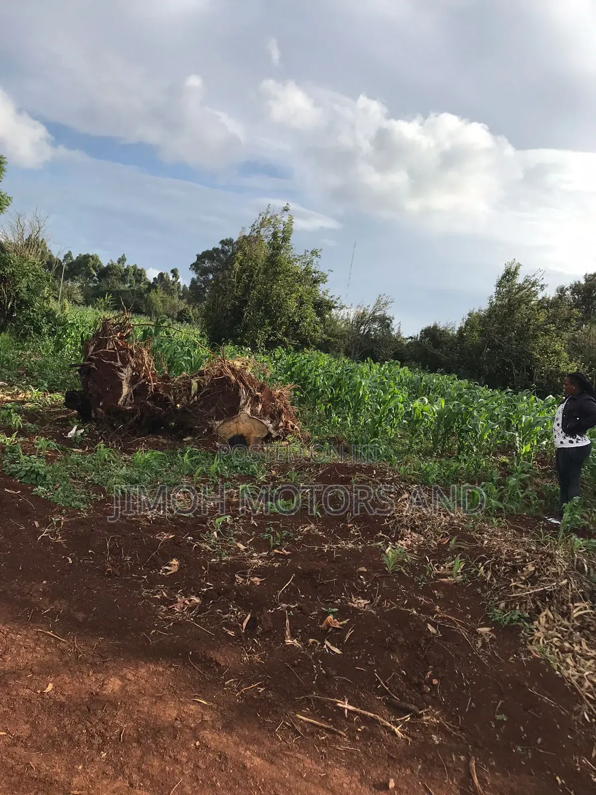 Land in Limuru Highway for Sale