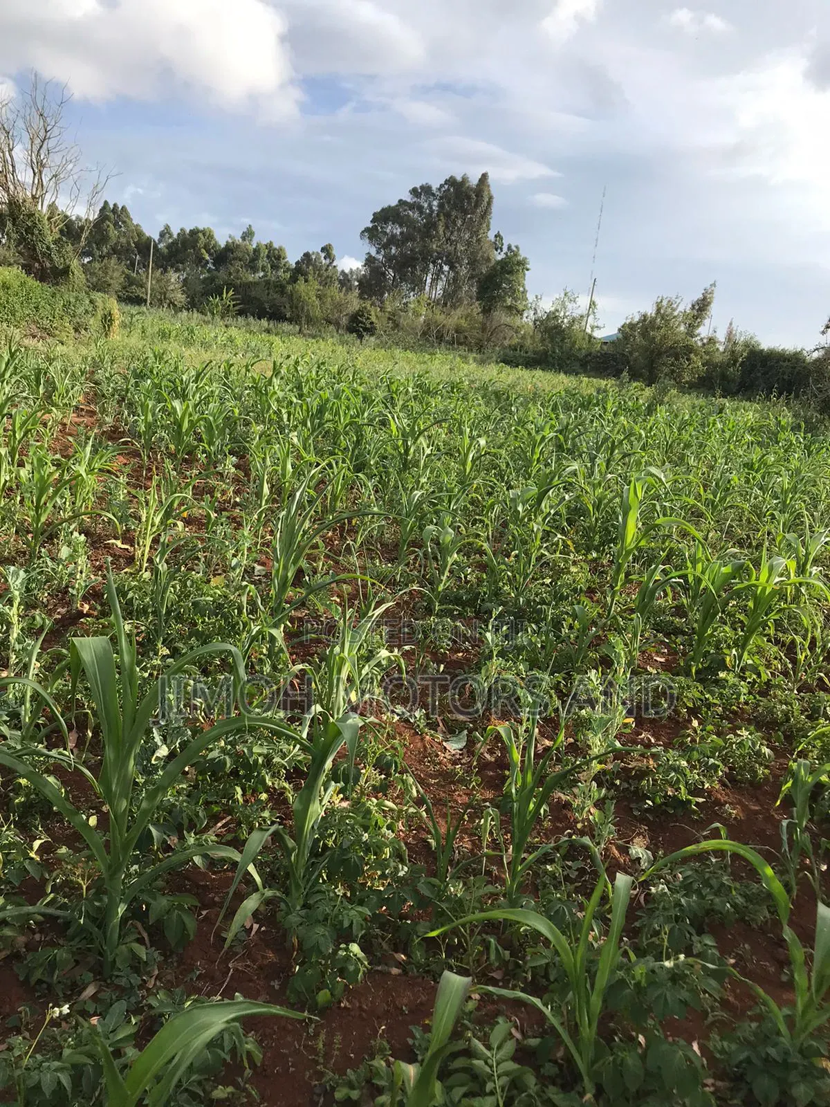 Land in Limuru Highway for Sale