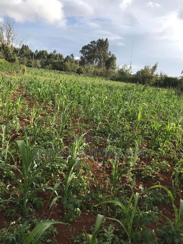 Land in Limuru Highway for Sale - thumbnail 20