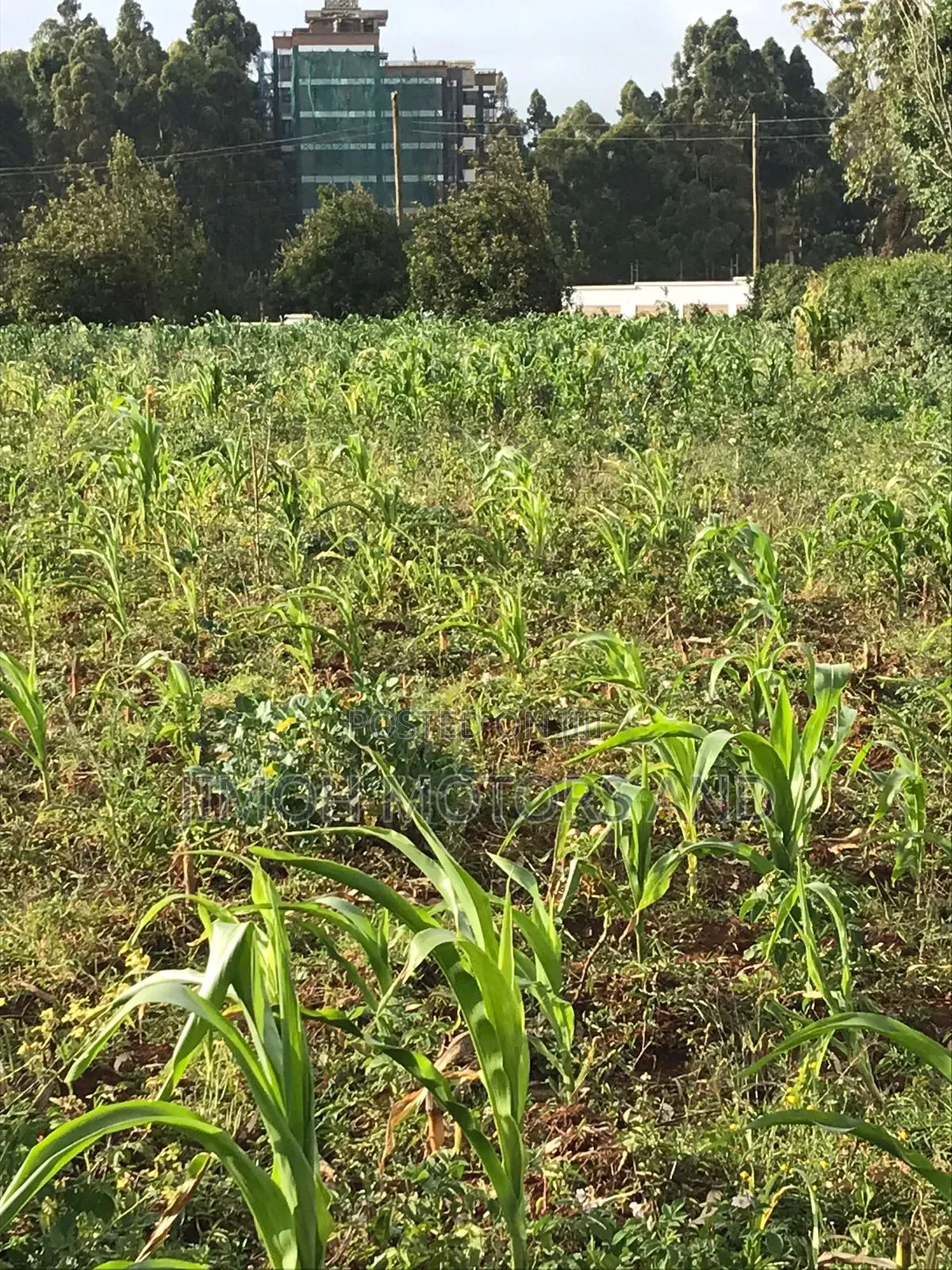 Land in Limuru Highway for Sale
