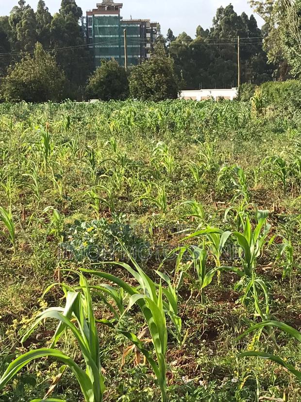 Land in Limuru Highway for Sale - thumbnail 21