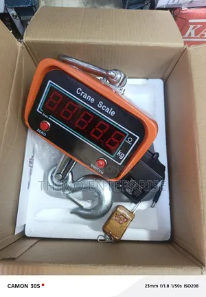 Crane Scale 1t