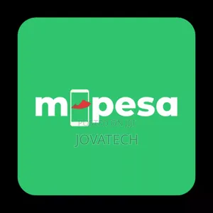 Mpesa STK Push Integration and Website Development in Nairobi Kenya
