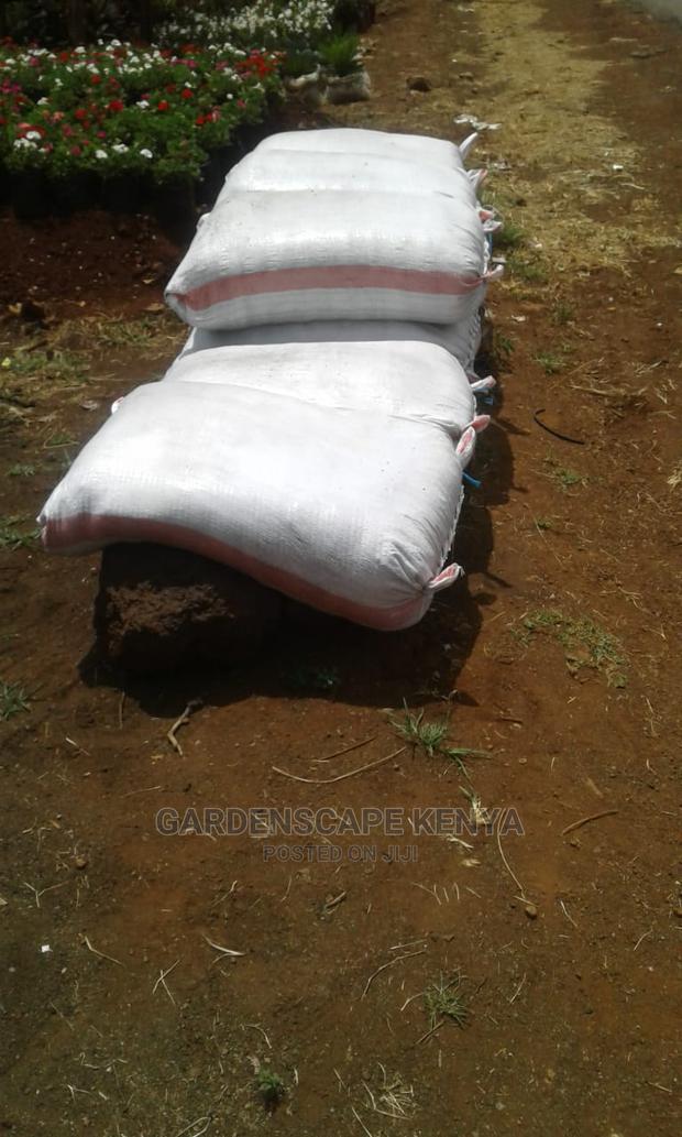 Manure for Gardening Farms - thumbnail 5