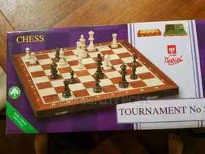 2 in 1 Magnetic Chess Board