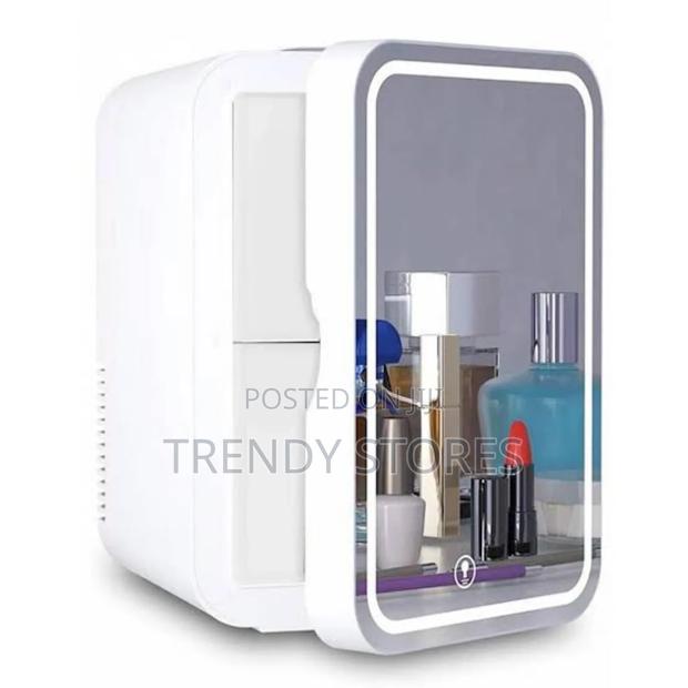 Portable Mini Fridge
