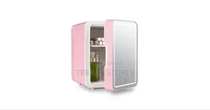 Portable Mini Fridge